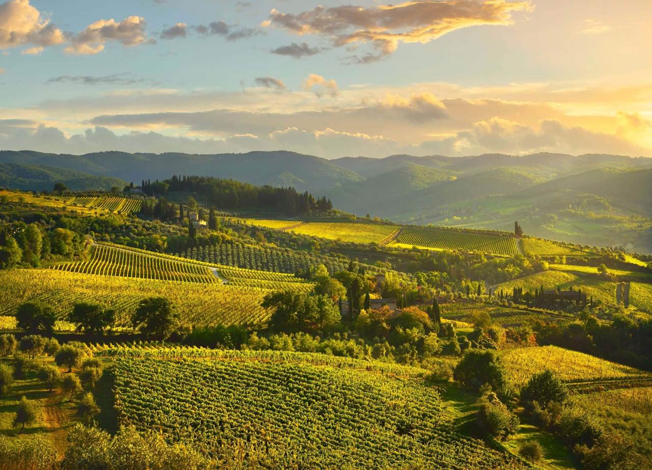 Tuscan Wine Tasting Escape