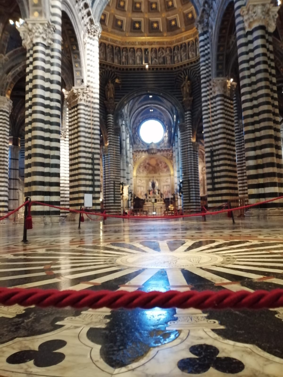 cattedrale siena
