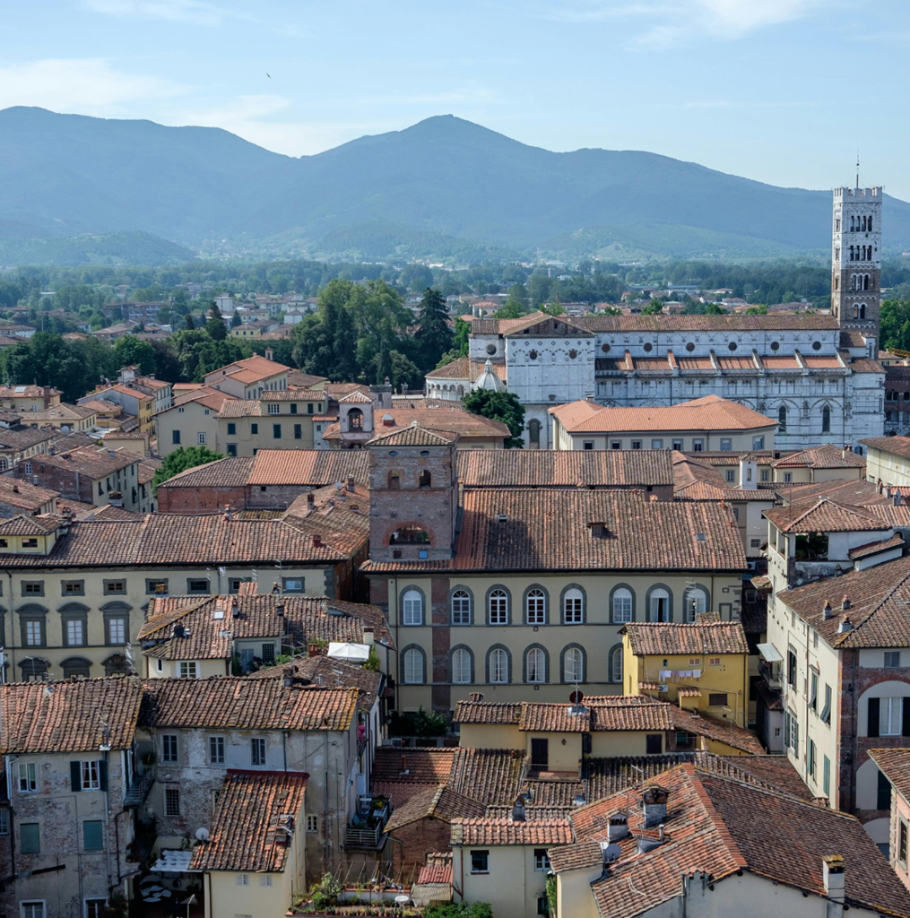 progetto senza titolo 4