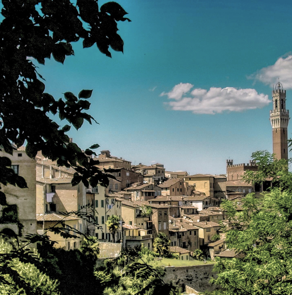 progetto senza titolo 9