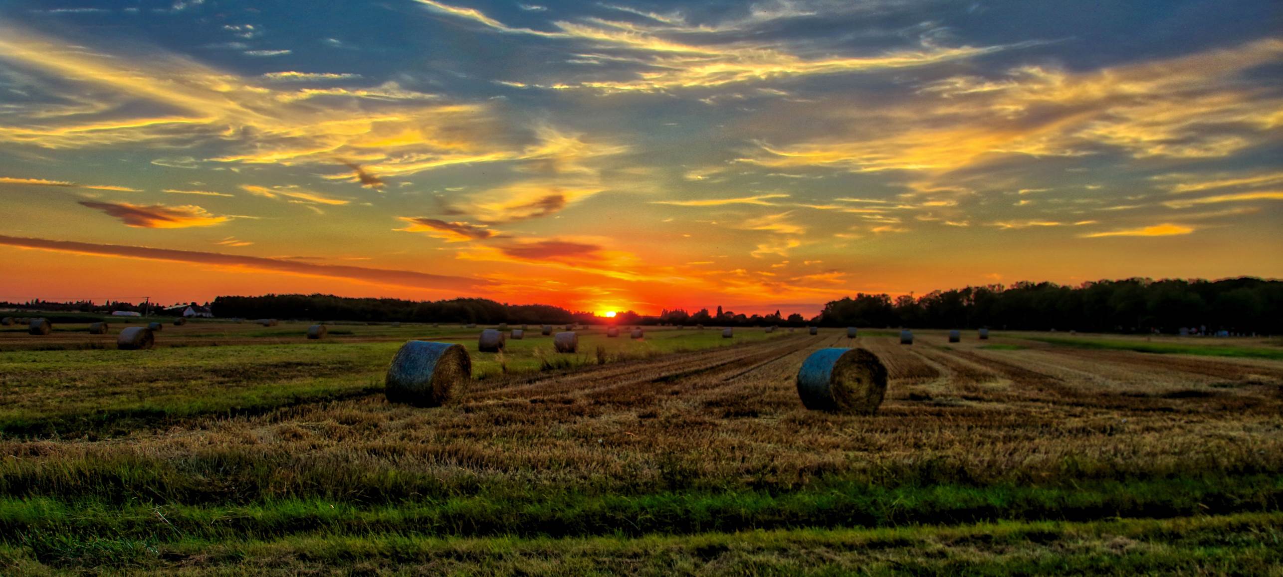sunset over the horizon on the farmland