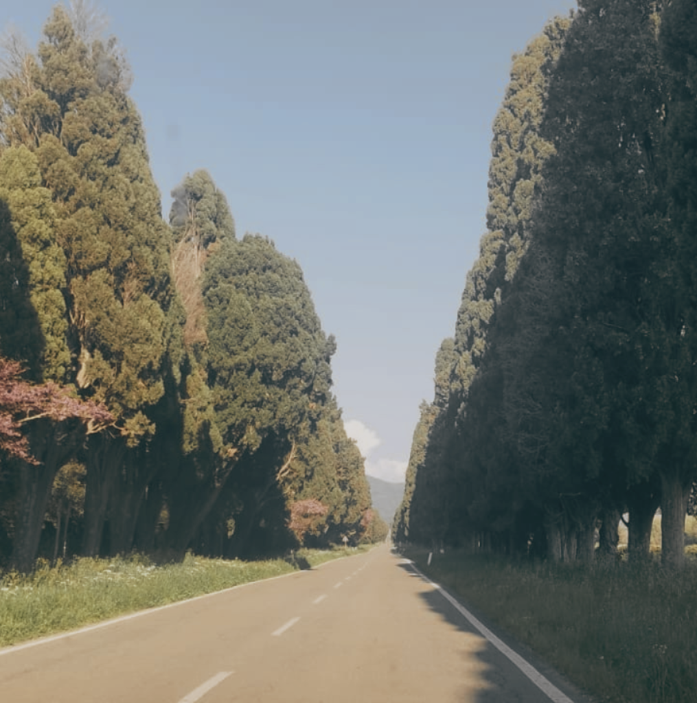 progetto senza titolo