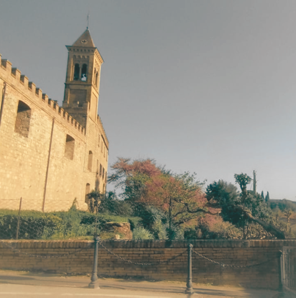 progetto senza titolo 5