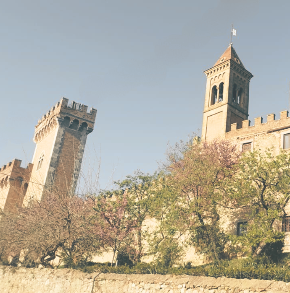 progetto senza titolo 1