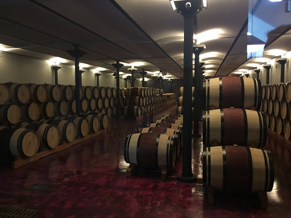 cantine di ornellaia