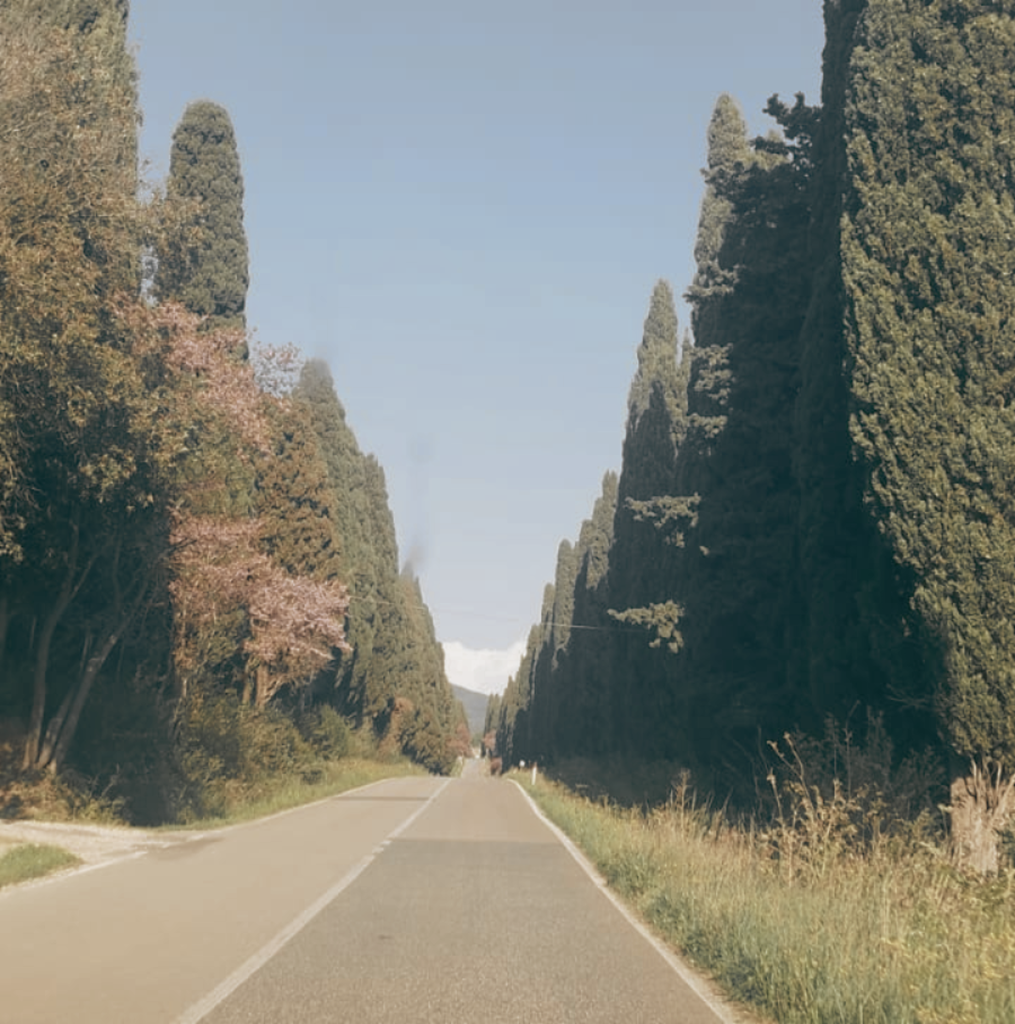 progetto senza titolo 3