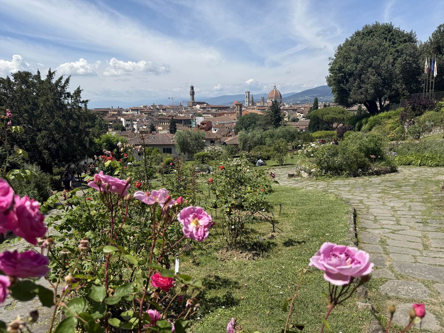 giardino delle rose