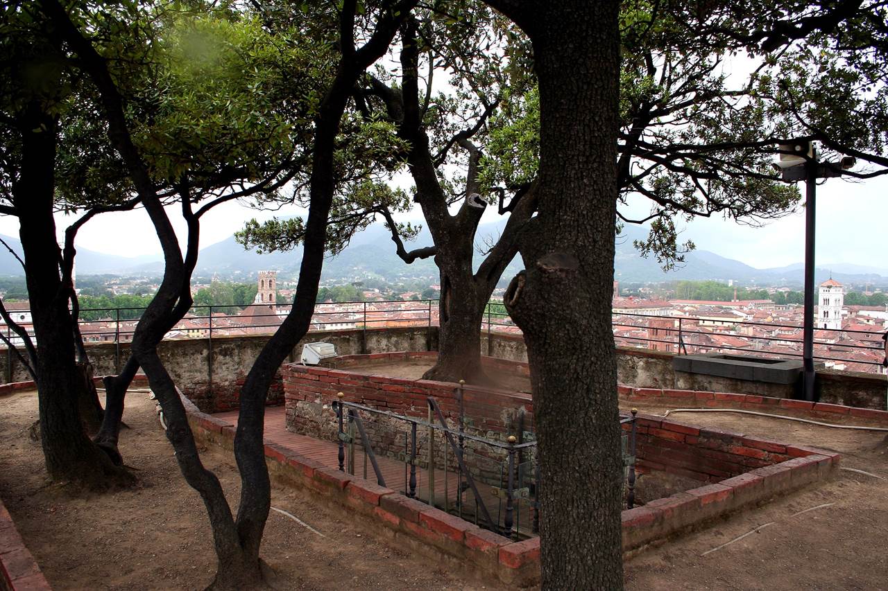 La splendida Torre Guinigi di Lucca